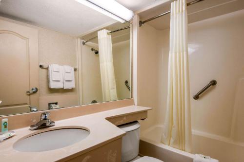 a bathroom with a sink and a toilet and a mirror at Quality Inn & Suites Tarpon Springs South in Tarpon Springs