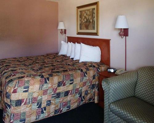 Habitación de hotel con cama y silla en Rodeway Inn Leesburg Chain of Lakes, en Leesburg