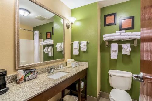 a bathroom with a toilet and a sink and a mirror at Comfort Inn & Suites Panama City Mall in Panama City