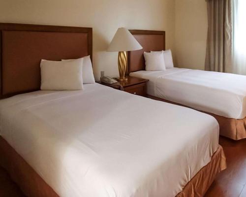 Кровать или кровати в номере Rodeway Inn South Miami - Coral Gables