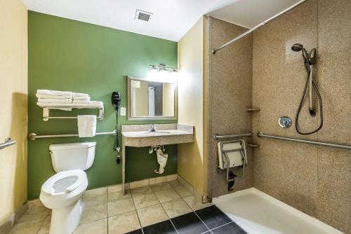 y baño con aseo, lavabo y ducha. en Sleep Inn & Suites University/Shands, en Gainesville