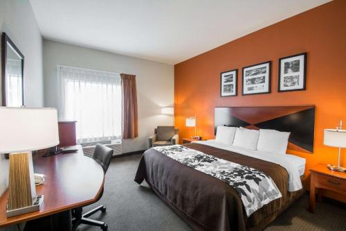 パラトカにあるSleep Inn & Suites Palatka Northのベッドとデスクが備わるホテルルームです。