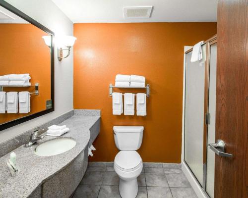 パラトカにあるSleep Inn & Suites Palatka Northのバスルーム(トイレ、洗面台付)