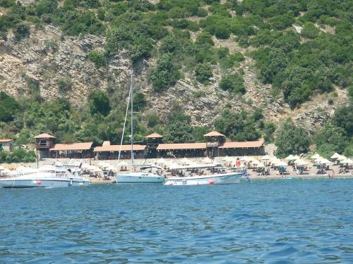 a group of boats in the water near a beach at Vila Branka in Čanj