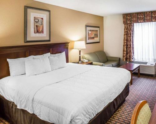 una camera d'albergo con un grande letto e una sedia di Quality Inn & Suites Dawsonville a Dawsonville