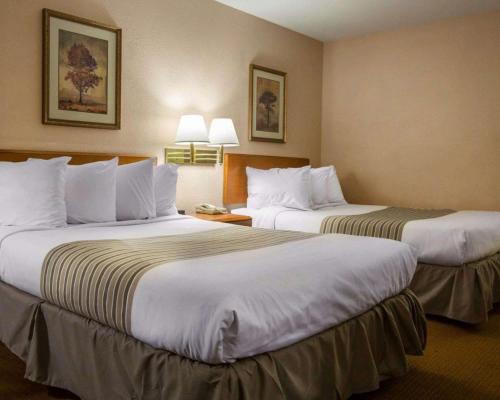 two beds in a hotel room with two lamps at Econo Lodge Inn & Suites Columbus near Fort Benning in Columbus
