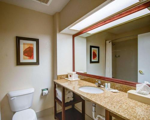 a bathroom with a sink and a toilet and a mirror at Comfort Suites Northside Hospital Gwinnett in Lawrenceville