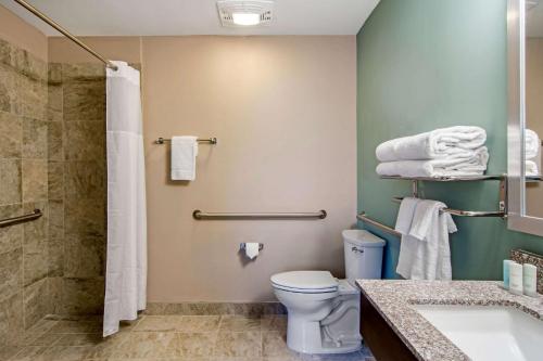 a bathroom with a toilet and a shower and a sink at Clarion Inn & Suites Atlanta Downtown in Atlanta