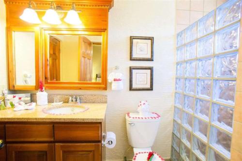 Ett badrum på Clarion Suites Roatan at Pineapple Villas