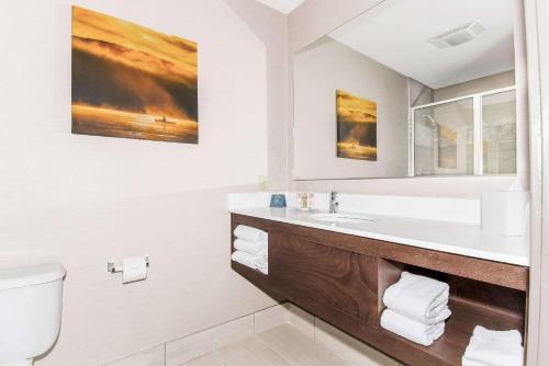 a bathroom with a sink and a toilet at The Ridges Resort on Lake Chatuge in Young Harris
