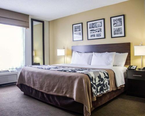 מיטה או מיטות בחדר ב-Sleep Inn Tinley Park I-80 near Amphitheatre-Convention Center