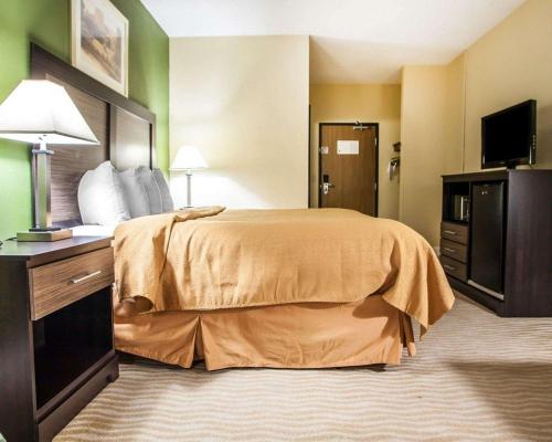 Gallery image of Quality Inn & Suites in Champaign