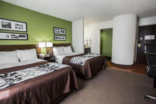 Habitación de hotel con 2 camas y paredes verdes en Sleep Inn Rockford I-90 en Rockford
