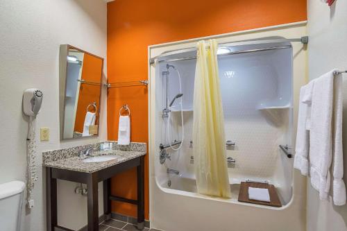 uma casa de banho com um chuveiro e um lavatório. em Sleep Inn & Suites em Danville