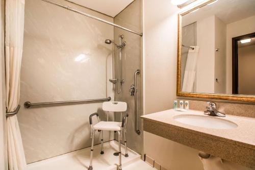 a bathroom with a sink and a shower at Quality Inn Morris I-80 in Morris