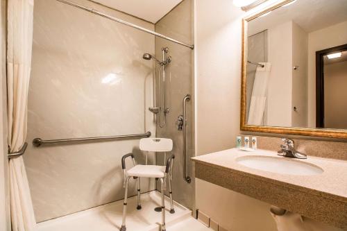 a bathroom with a sink and a shower at Quality Inn Morris I-80 in Morris