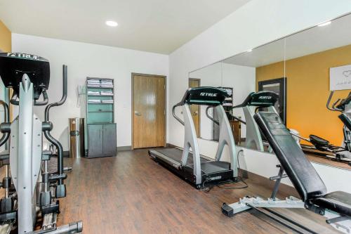 a gym with tread machines and a mirror at Comfort Suites Fairview Heights Saint Louis in Fairview Heights