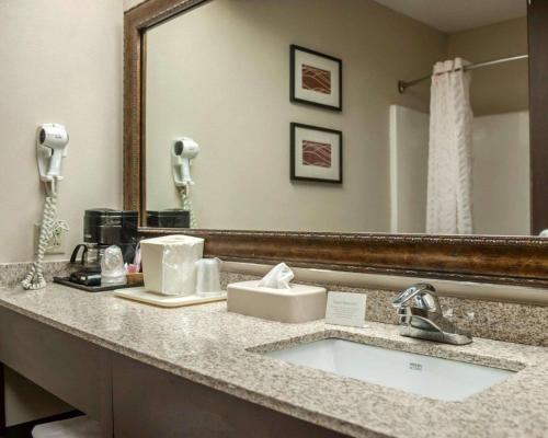 a bathroom with a sink and a mirror at Quality Inn & Suites near St Louis and I-255 in Cahokia