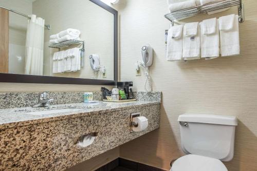 a bathroom with a toilet and a sink and a mirror at Quality Inn & Suites Bloomington I-55 and I-74 in Bloomington