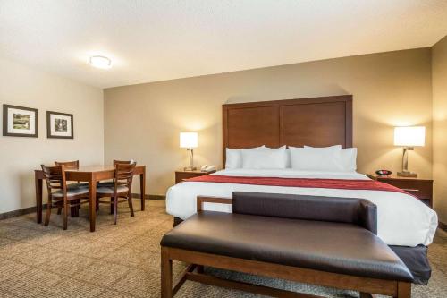 Postel nebo postele na pokoji v ubytování Comfort Inn Ottawa Starved Rock Area