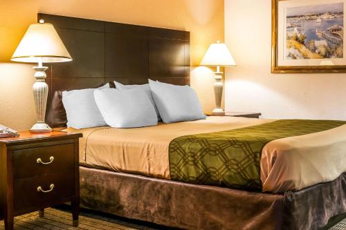 a hotel room with a bed with two lamps at Econo Lodge Vincennes in Vincennes