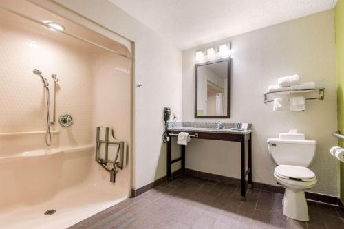a bathroom with a toilet and a sink at Sleep Inn & Suites Columbus in Columbus