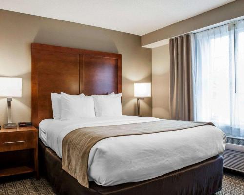 a hotel room with a large bed and a window at Comfort Inn & Suites Sturbridge-Brimfield in Sturbridge