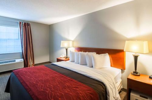 a hotel room with a large bed and a window at Quality Inn Solomons - Beacon Marina in Solomons