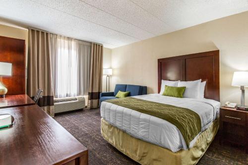 ベルツビルにあるComfort Inn College Park Northのベッドとデスクが備わるホテルルームです。