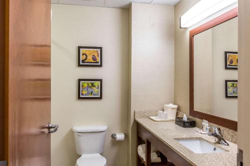 a bathroom with a toilet and a sink and a mirror at Comfort Inn in Frederick