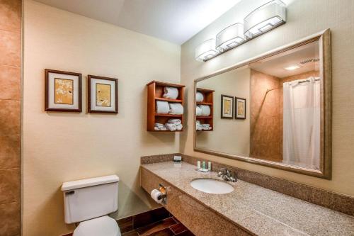 a bathroom with a sink and a toilet and a mirror at Country Inn & Suites by Radisson, Muskegon, MI in Muskegon