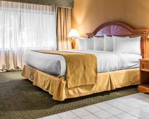 Habitación de hotel con cama grande con almohadas blancas en Quality Inn Southfield, en Southfield