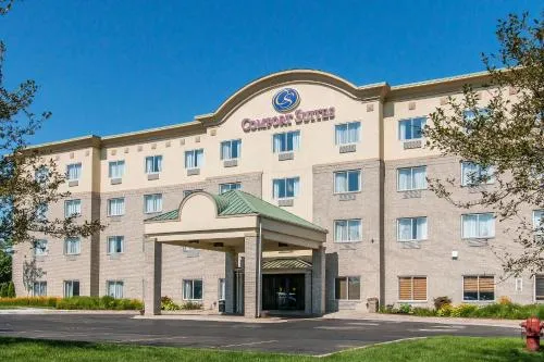 Comfort Suites Wixom - Novi in Canton