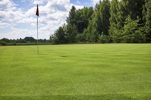 a golf course with a flag in the middle of a field at Mountain Run at Boyne in Boyne Falls