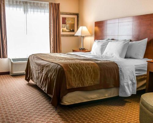 a hotel room with a large bed with a large window at Quality Inn Near Interstate I94 in New Buffalo