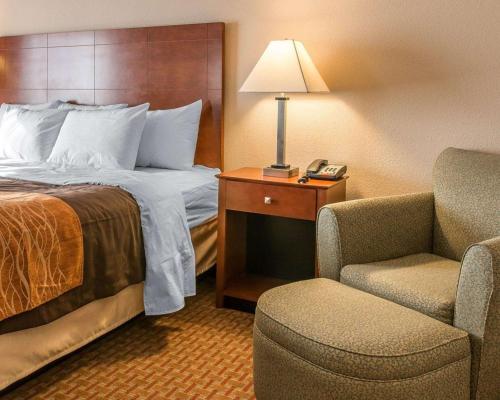 um quarto de hotel com uma cama, uma cadeira e um candeeiro em Quality Inn Near Interstate I94 em New Buffalo