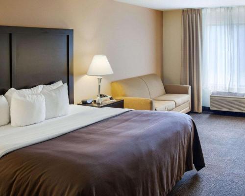 ein Hotelzimmer mit einem großen Bett und einem Sofa in der Unterkunft Quality Inn & Suites Niles in Niles