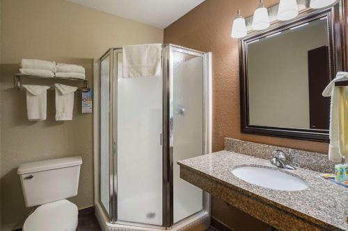 a bathroom with a shower and a toilet and a sink at Quality Inn & Suites Holland in Holland