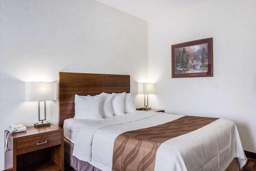 a hotel room with a large bed and two lamps at Econo Lodge Luverne I-90 in Luverne