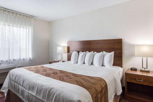 a large bed in a hotel room with two lamps at Econo Lodge Luverne I-90 in Luverne