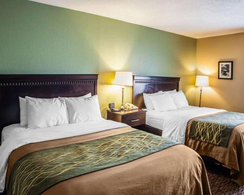 a hotel room with two beds and a green wall at Quality Inn Belton - Kansas City South in Belton