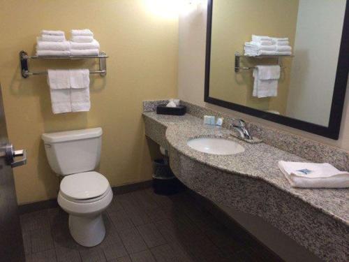 a bathroom with a toilet and a sink with a mirror at Sleep Inn & Suites Indoor Waterpark in Liberty