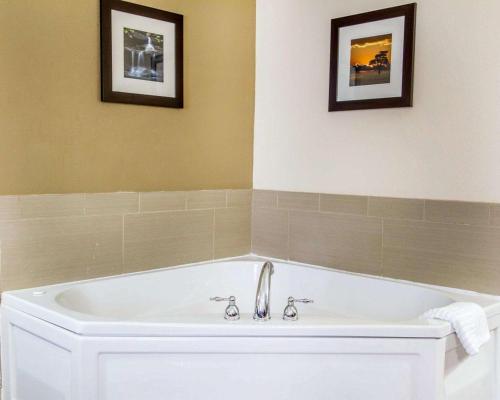 uma banheira numa casa de banho com duas fotografias na parede em Comfort Inn Poplar Bluff North em Poplar Bluff