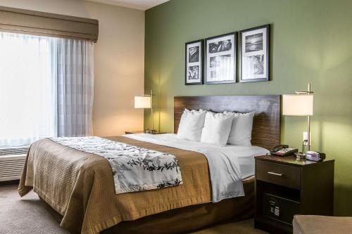 a hotel room with a bed and a window at Sleep Inn & Suites Mount Olive North in Mount Olive