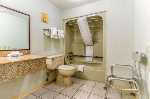 a bathroom with a toilet and a sink and a mirror at Econo Lodge Whiteville in Whiteville