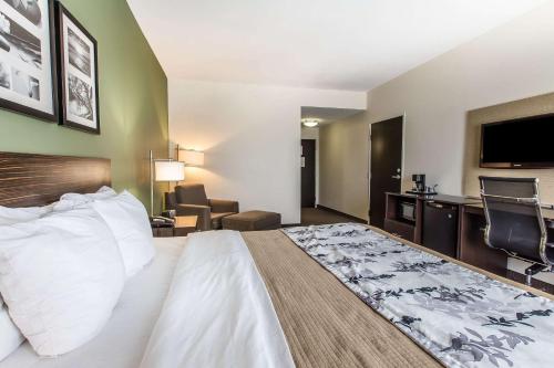 a hotel room with a bed and a desk at Sleep Inn & Suites Mount Olive North in Mount Olive