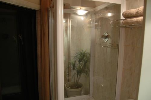 La salle de bains est pourvue d'une douche avec une plante en pot. dans l'établissement Bon A Vie Self-catering and b&b Gonubie Full Solar Power, no load shedding!, à Gonubie
