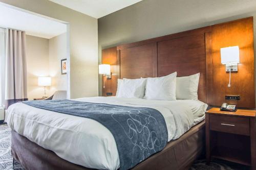 Comfort Suites Pineville - Ballantyne Area Image