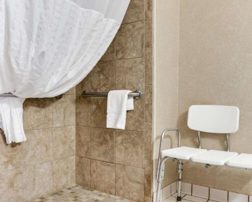 bagno con tenda per la doccia e servizi igienici di Comfort Inn a Jamestown