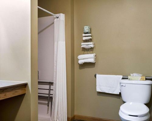 a bathroom with a toilet and a shower and towels at Econo Lodge Jamestown in Jamestown